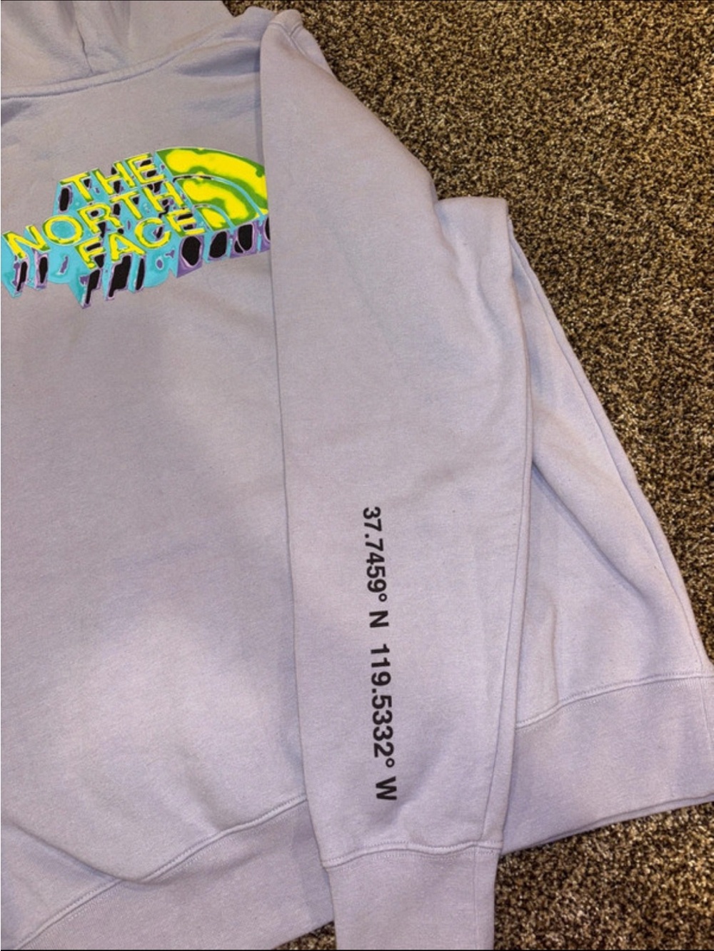 Men’s Purple The North Face Hoodie - Picture 4 of 4